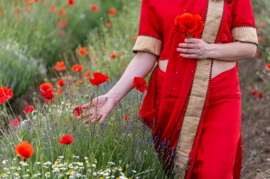 Geleneksel Hint kostümü giymiş genç bir kadın. Adı Sari. Kırmızı gelincik tarlasında yürüyor.