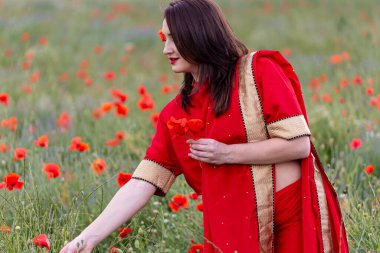 Geleneksel Hint kostümü giymiş genç bir kadın. Adı Sari. Kırmızı gelincik tarlasında yürüyor.