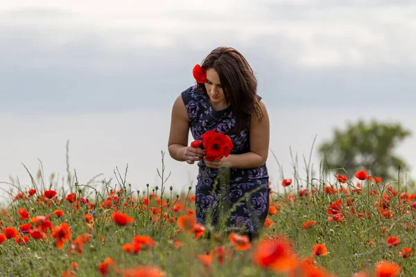 Una Giovane Donna Abito Blu Campo Fiori Papavero Con Belle — Foto Stock