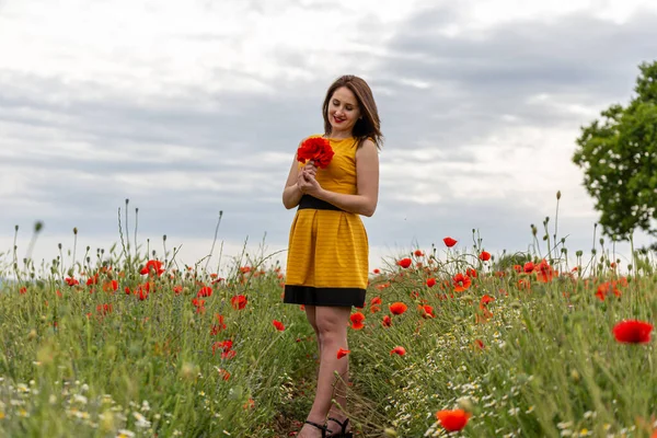 背景に美しい雲とケシの花のフィールドで黄色のドレスの若い女性 ロイヤリティフリーのストック写真