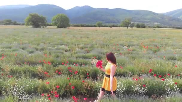 Uma Jovem Mulher Vestido Amarelo Campo Flores Papoula Com Belas — Vídeo de Stock