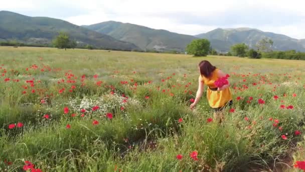 Een Jonge Vrouw Een Gele Jurk Een Papaver Bloemenveld Met — Stockvideo