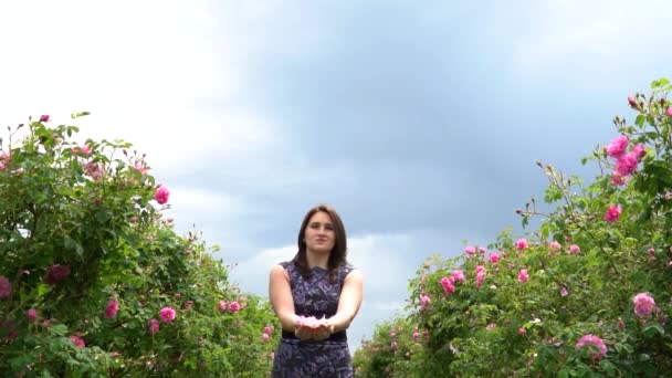 Jovem Mulher Vestido Azul Jogando Rosas Rosa Búlgaras Jardim — Vídeo de Stock