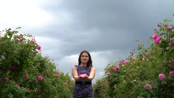 Jovem Mulher Vestido Azul Jogando Rosas Rosa Búlgaras Jardim — Vídeo de Stock