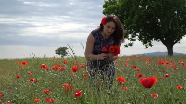 Uma Jovem Mulher Vestido Azul Campo Flores Papoula Com Belas — Vídeo de Stock