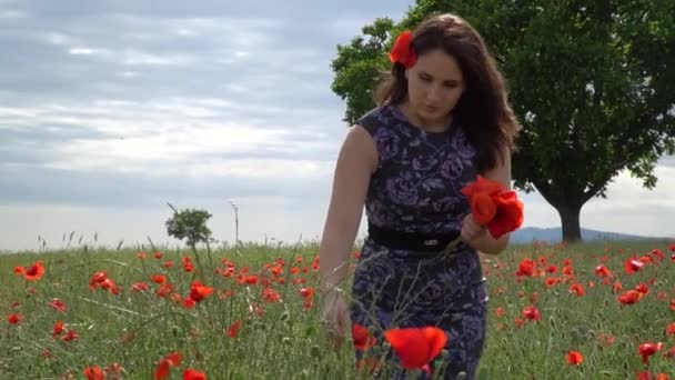 Uma Jovem Mulher Vestido Azul Campo Flores Papoula Com Belas — Vídeo de Stock