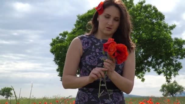 Uma Jovem Mulher Vestido Azul Campo Flores Papoula Com Belas — Vídeo de Stock