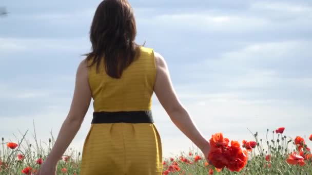 Uma Jovem Mulher Vestido Amarelo Campo Flores Papoula Com Belas — Vídeo de Stock