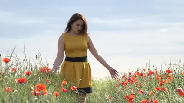 Μια Νεαρή Γυναίκα Ένα Κίτρινο Φόρεμα Ένα Λιβάδι Λουλούδια Παπαρούνας — Αρχείο Βίντεο