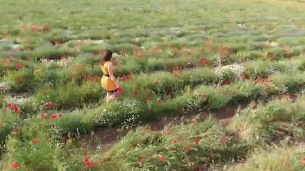 A young woman in a yellow dress in a poppy flower field with beautiful clouds in the background