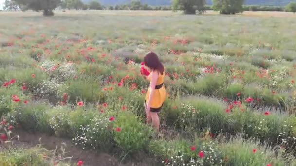 一个穿着黄色衣服的年轻女人在罂粟花田里 背景是美丽的云彩 — 图库视频影像
