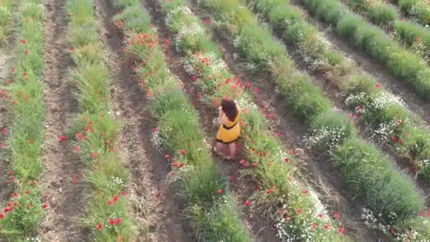 Uma Jovem Mulher Vestido Amarelo Campo Flores Papoula Com Belas — Vídeo de Stock