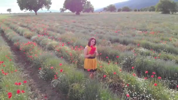 Uma Jovem Mulher Vestido Amarelo Campo Flores Papoula Com Belas — Vídeo de Stock