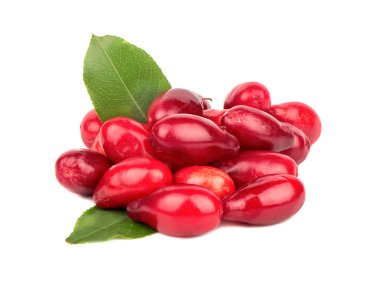 Beyaz bir arka plan üzerinde kazık taze kızılcık kiraz yaprakları