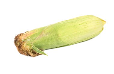 Beyaz bir arka plan kabuğuna içinde taze mısır koçanı