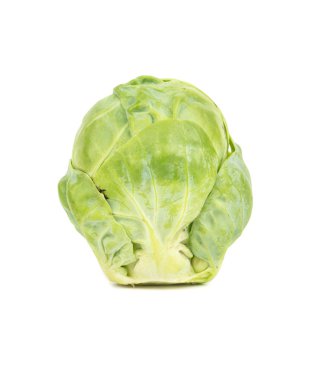 Beyaz arkaplanda taze brussel filizleri