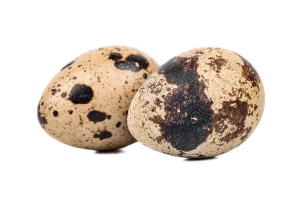 Два Пятнистых Перепелиных Яйца Изолированы Белом Фоне — стоковое фото