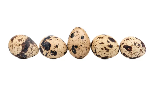 Row Five Raw Quail Eggs White Background — Stock Photo, Image