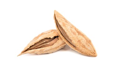 Beyaz bir arka plan üzerinde Kabuğundaki iki Özbek yaban badem