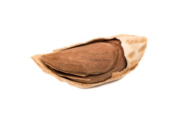 Beyaz bir arka plan üzerinde kabuğundaki badem kırık Özbek