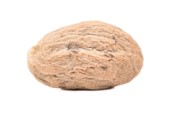 Dry Nutmeg Isolated White Background Closeup — Stock Photo, Image