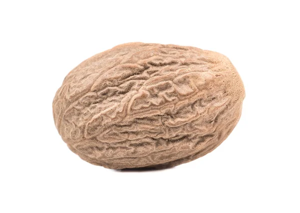 Dry Nutmeg Isolated White Background Closeup — Stock Photo, Image