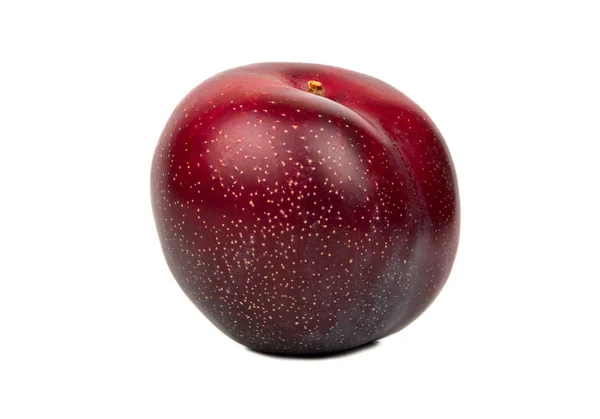 Köstliche Große Rote Pflaume Isoliert Auf Weißem Hintergrund — Stockfoto