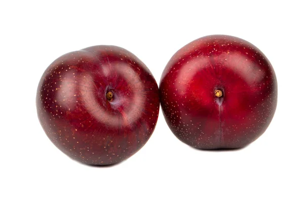 Dos Grandes Ciruelas Rojas Deliciosas Aisladas Sobre Fondo Blanco —  Fotos de Stock