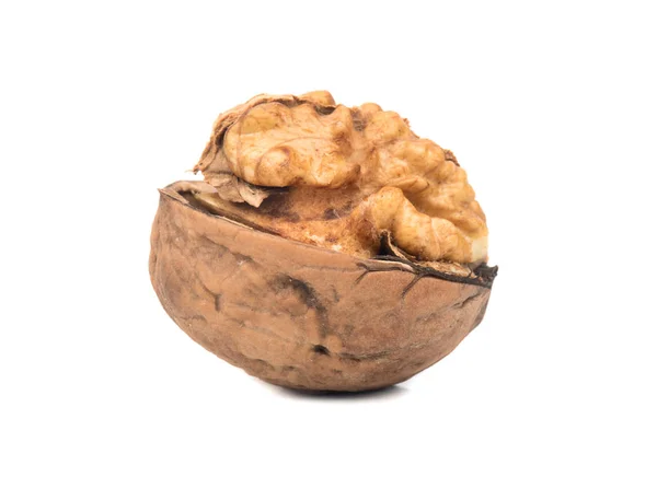 Fresh Walnuts Open Half White Background — Stock Photo, Image