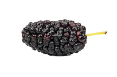 Beyaz arka plan üzerinde izole büyük siyah dut