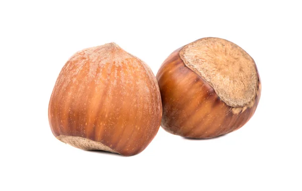 Twee Ruwe Hazelnoten Shell Een Witte Achtergrond — Stockfoto