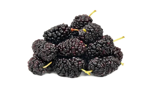 Bunch Black Mulberry Isolated White Background — Stock Photo, Image
