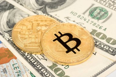 İki altın bitcoin dolar closeup için