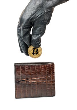 Hırsız eldiven onların cüzdan beyaz zemin üzerine altın sikke bitcoin ortaya çıkarır