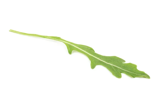 Green Arugula Leaf Isolated White Background — Stock Photo, Image