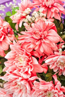 Güzel buket çiçekli kasımpatı yakın çekim