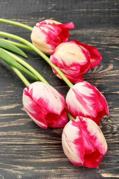 Várias Tulipas Vermelhas Brancas Fundo Madeira — Fotografia de Stock