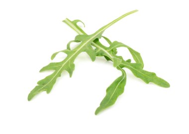 Beyaz arka plan portre üzerinde taze roka yaprakları