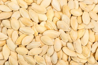 Bir kabuk kavrulmuş kabak çekirdeği arka planı kapat