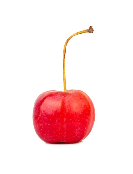 Маленьке Червоне Райське Яблуко Ізольоване Білому Тлі — стокове фото