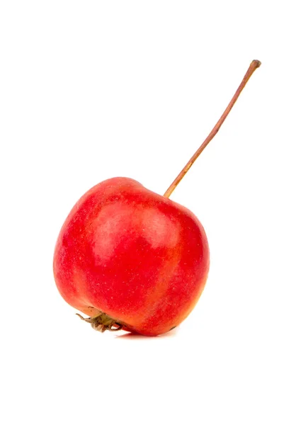 Маленький Красный Рай Яблоко Изолированы Белом Фоне — стоковое фото