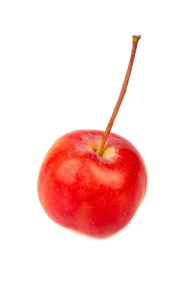 Красное Яблочко Белом Фоне — стоковое фото