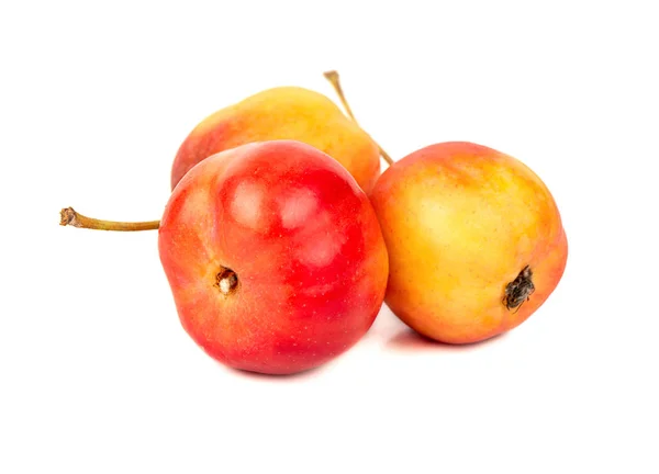 Three Small Paradise Apples White Background Closeup — Stock Photo, Image