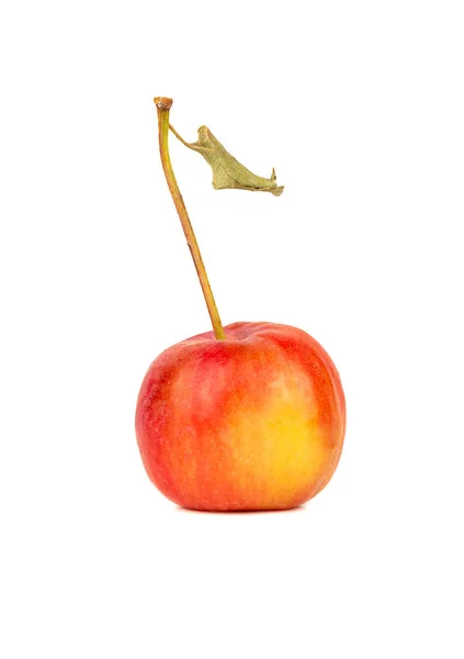 Pequeña Manzana Roja Del Paraíso Sobre Fondo Blanco — Foto de Stock