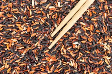 Ham yabani pirinç bambu ile yakın çekim sopa