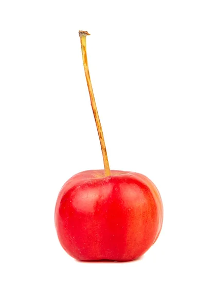 Kis Piros Paradicsom Apple Fehér Háttér — Stock Fotó