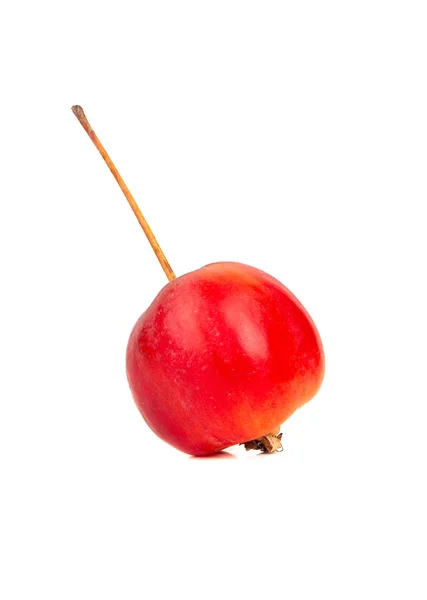 Petite Pomme Paradisiaque Rouge Isolée Sur Fond Blanc — Photo