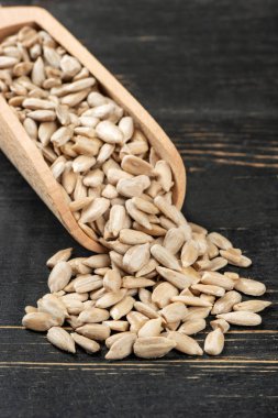 Kepçe Ayçiçeği tohumları