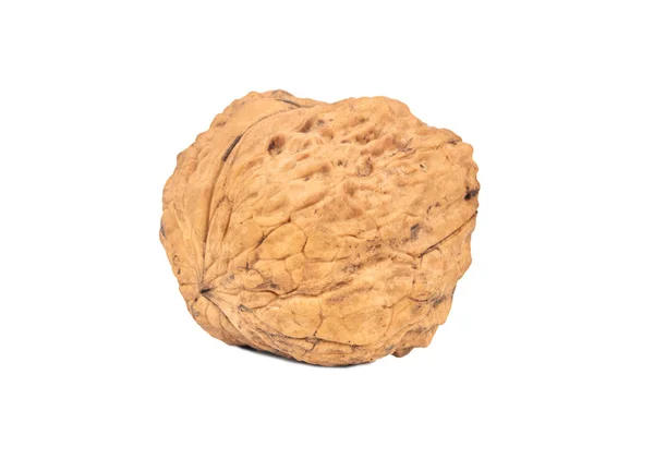 Large walnut isolate — Stock Photo, Image