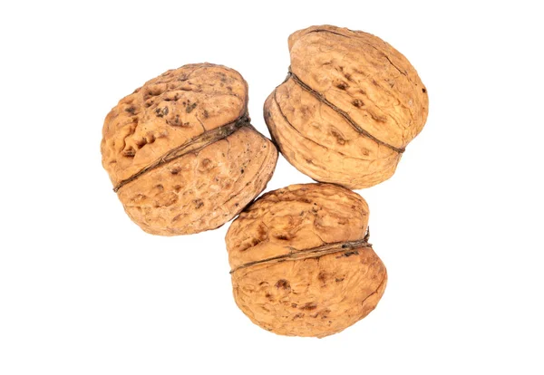 Drie grote walnoten — Stockfoto